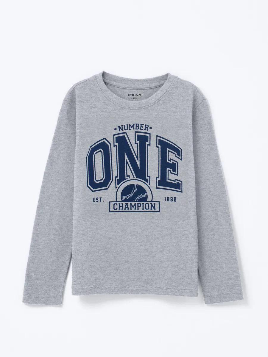 Hering Kids, Camiseta Infantil Menino Manga Longa Com Estampa Hering Kids - Cinza